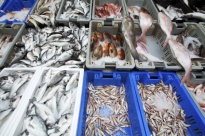 Импорт морепродуктов из Эстонии и Латвии под запретом