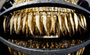 Эстонские морепродукты станут доступны в Китае